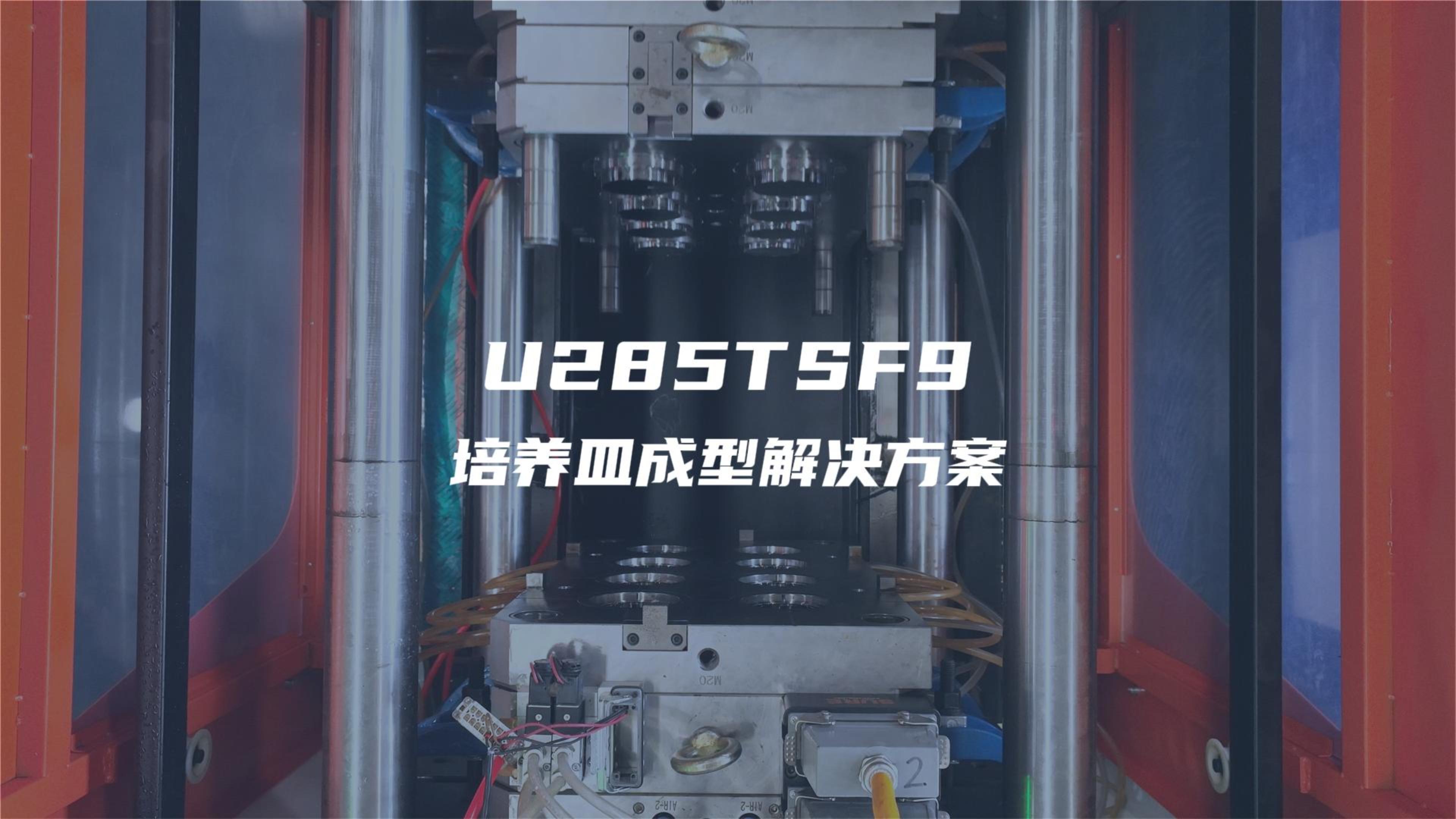 U285TS F9试模 培养皿